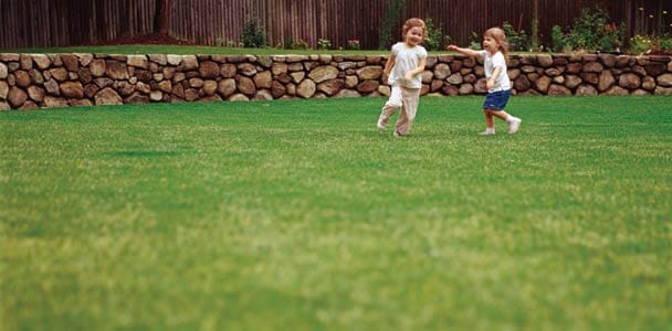 Do-It-Yourself Lawn Care Schedule