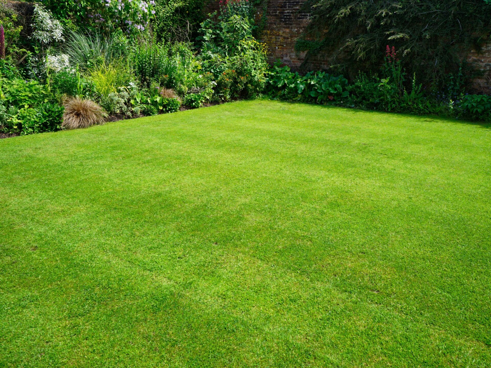 TruGreen Lawn Care Review 
