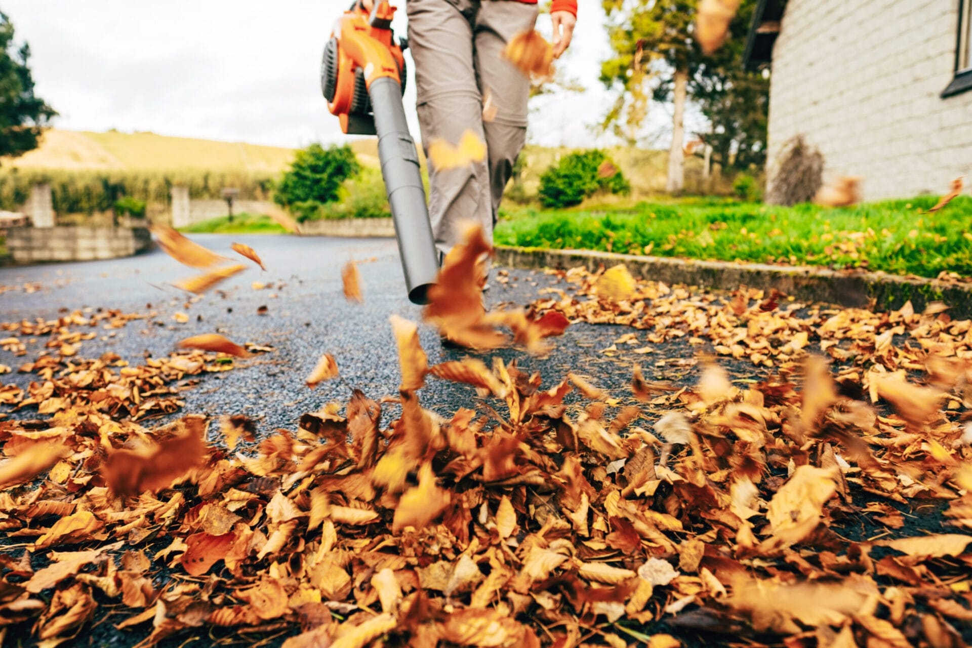 best leaf blowers buying guide, best leaf blower hero image