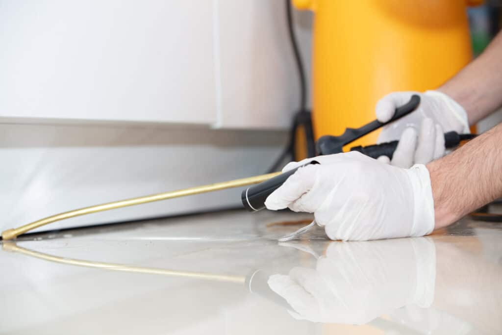 How Much Does a Roach Exterminator Cost?