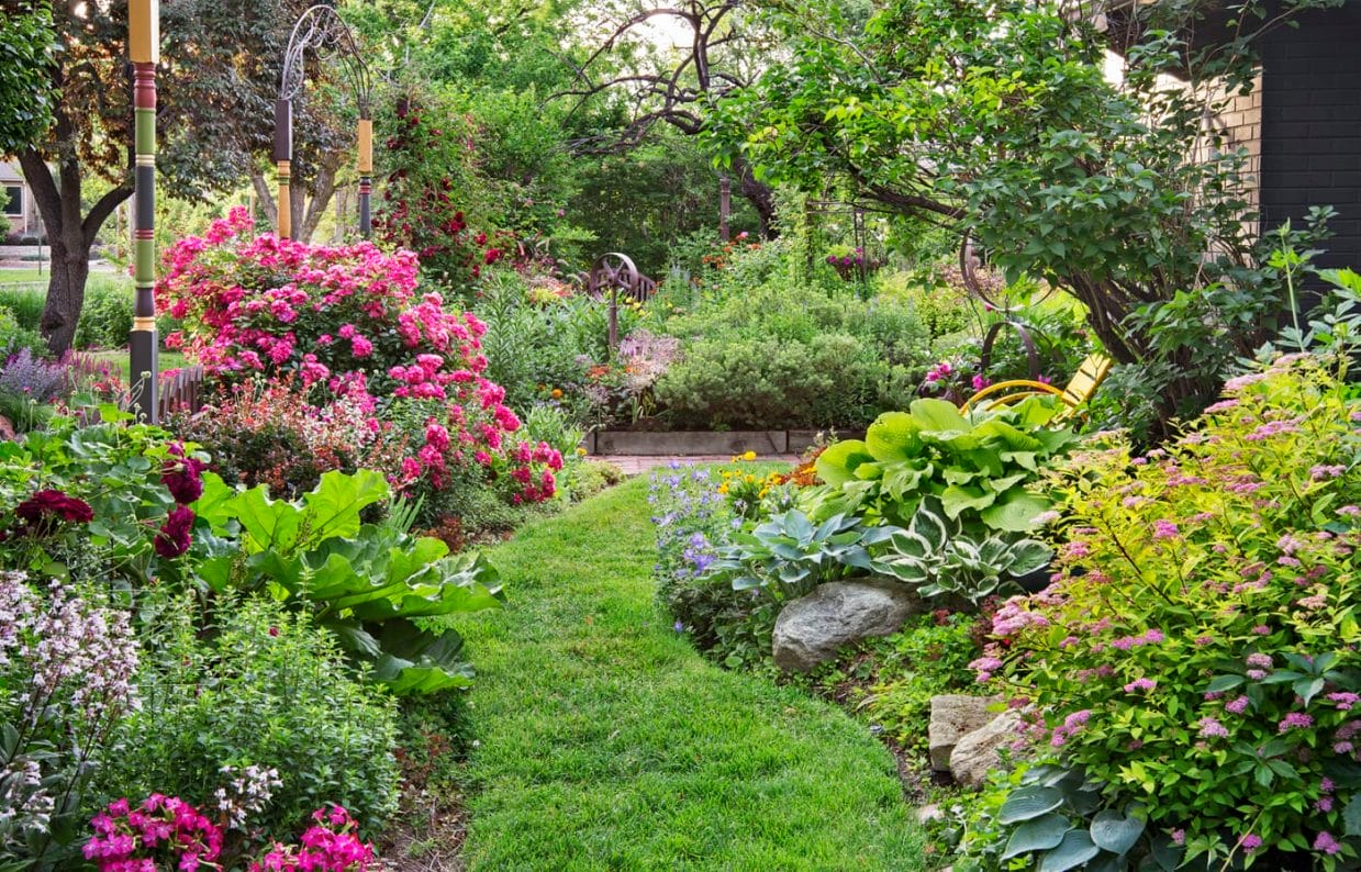 Creating a Secret Garden