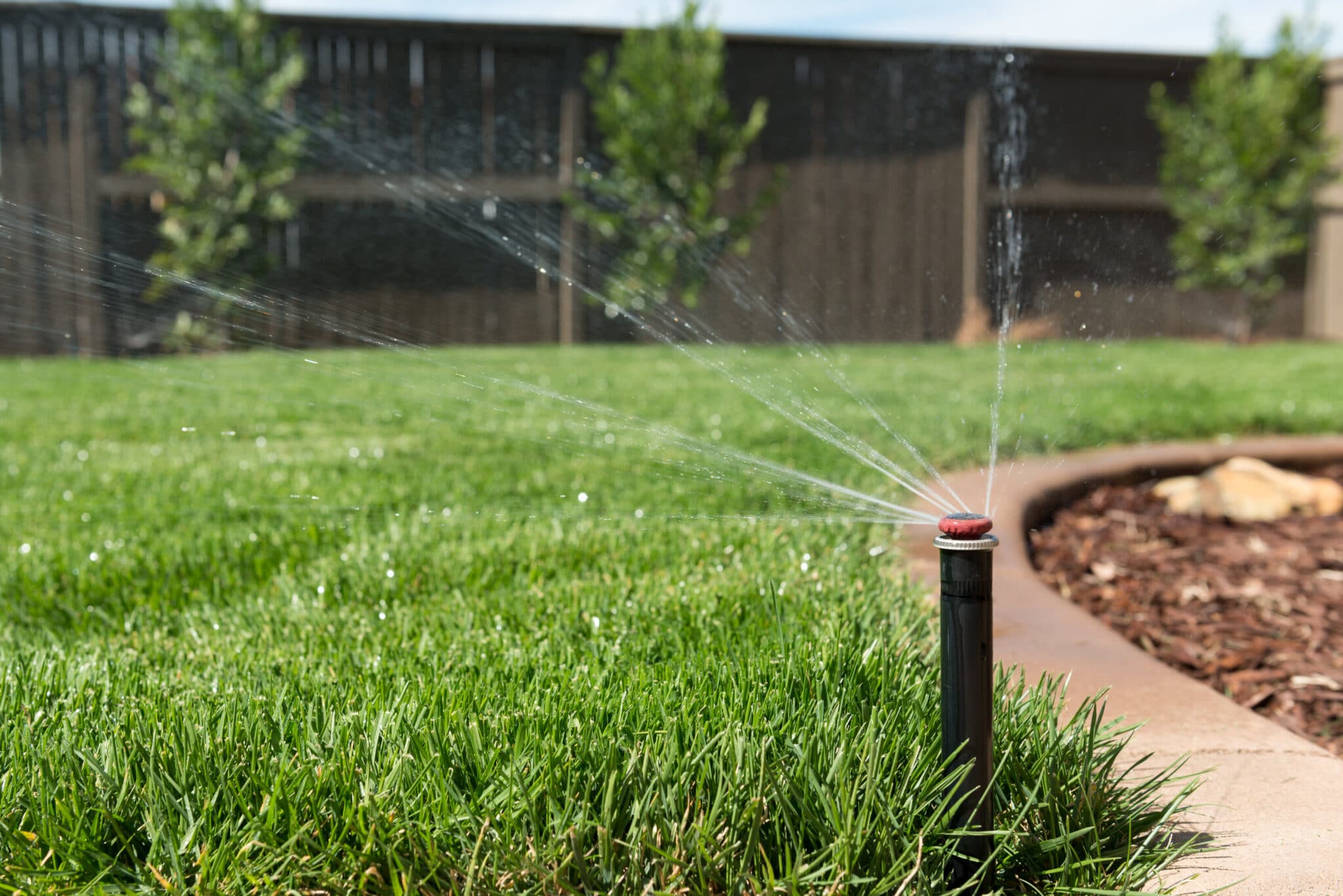 Best Lawn Care Companies of 2025