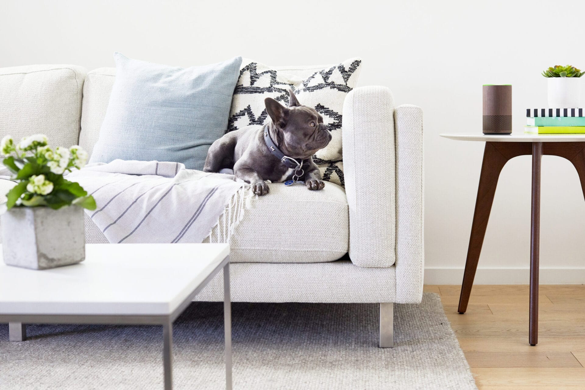 Walnut_Echo__Living_Room_Hires